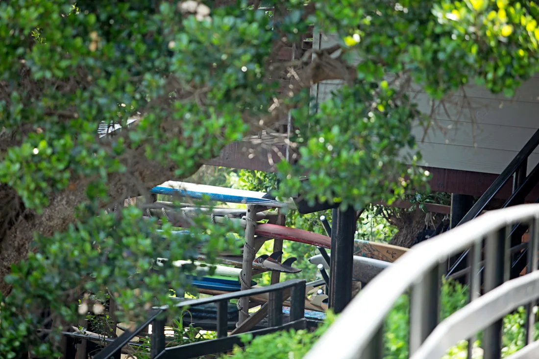 Surfboards on a rack under the milkwood trees at Beach House Wilderness Backpackers