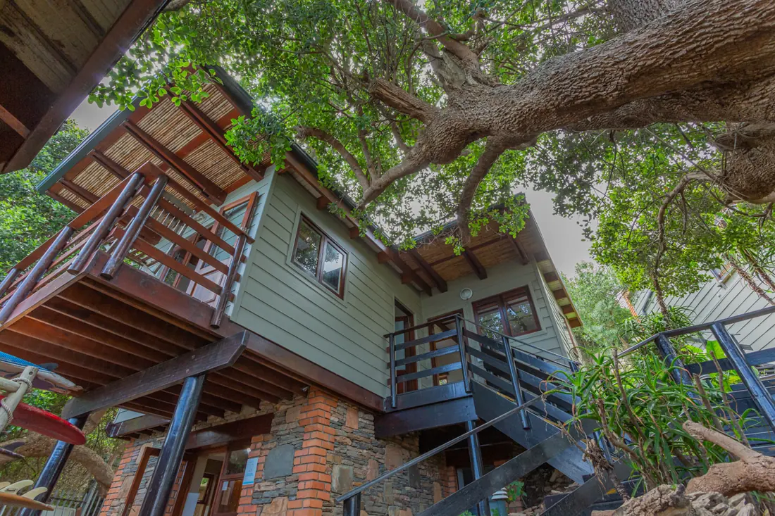 The timber building housing the private rooms at Beach House, under a milkwood tree